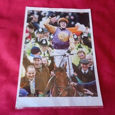 A P McCOY, NATIONAL HUNT
