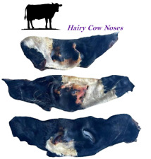 100% Natural Dog Treat Hairy Cow Nose Cows Noses Beef Long Lasting Chew