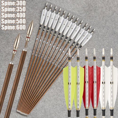 Pure carbon arrows spine - 31",