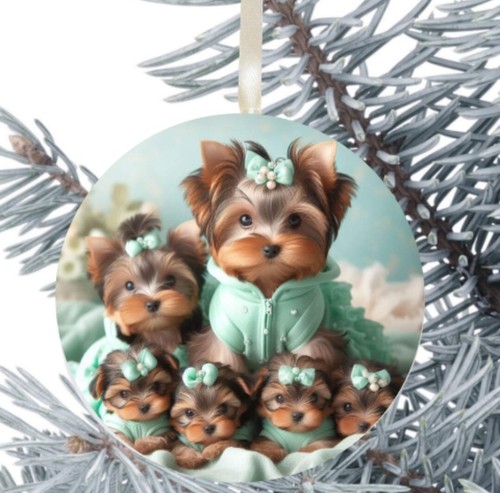Yorkshire terrier dog - dog, hanging