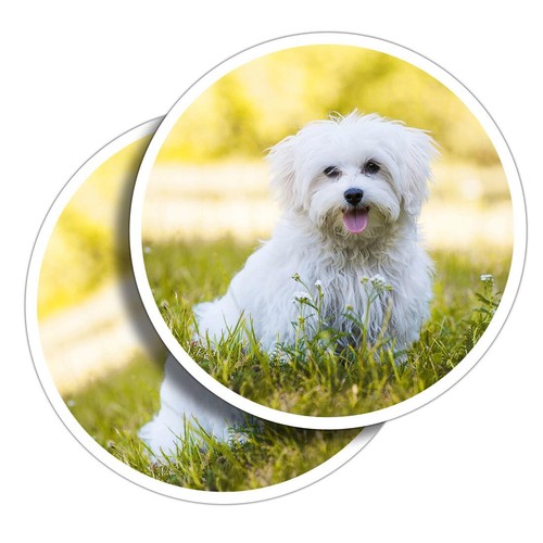 Vinyl stickers cute white - stickers,