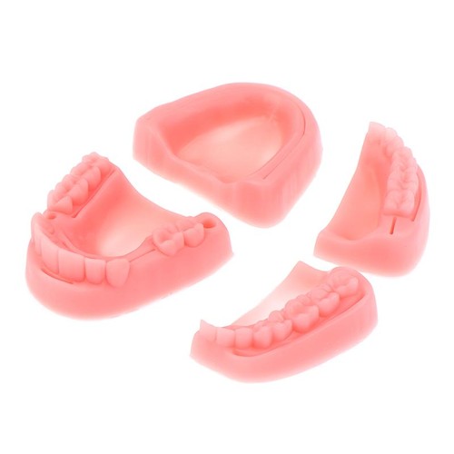 4pcs dental simulation - 4pcs,