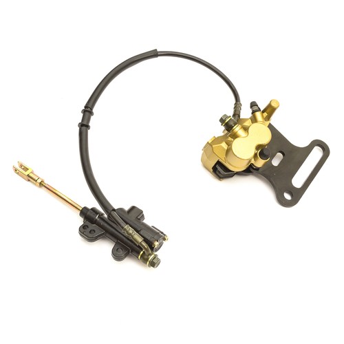 Rear foot brake disc - rear, calliper