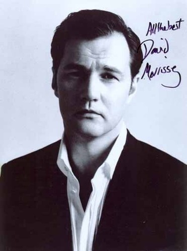 David morrissey actor - david,