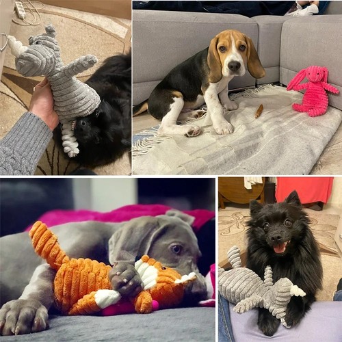 Dog chew toy animal squeaky - toy,
