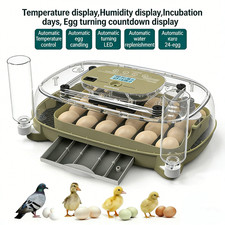 Egg Incubators for Hatching