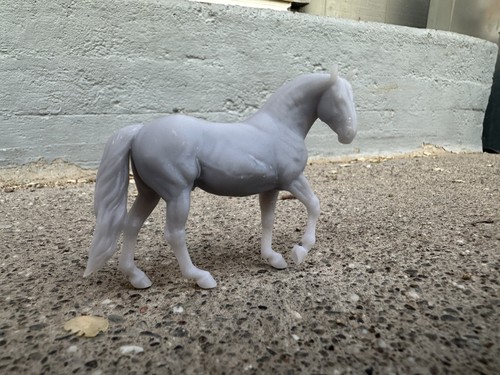 Dragon crossbred horse carola - crossbred,