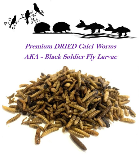 Premium dried calci worms - dried, aka