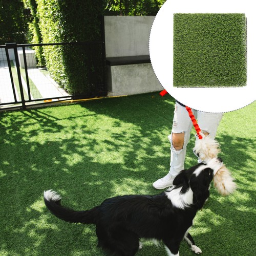 Artificial grass garden - ,