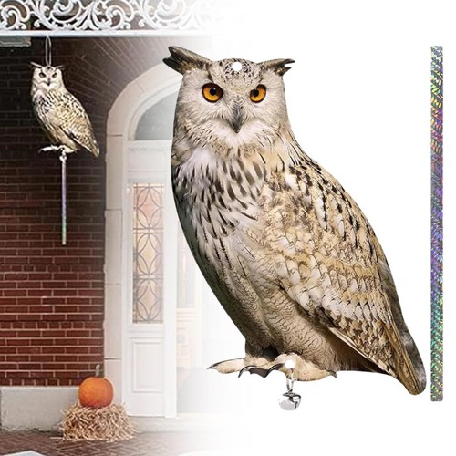 Realistic owl decoy - decoy, deterrent