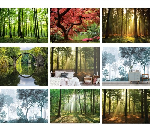 Forest trees wall mural - trees,