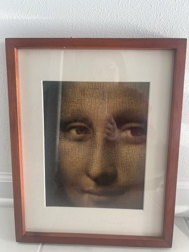 Leonardo vinci iconic - iconic, mona