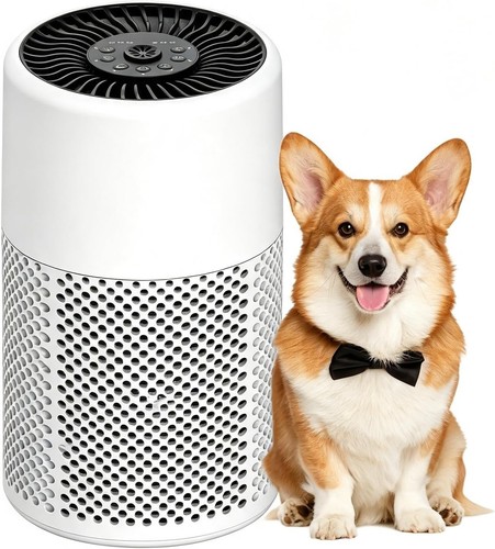 Chivalz true hepa air - true,