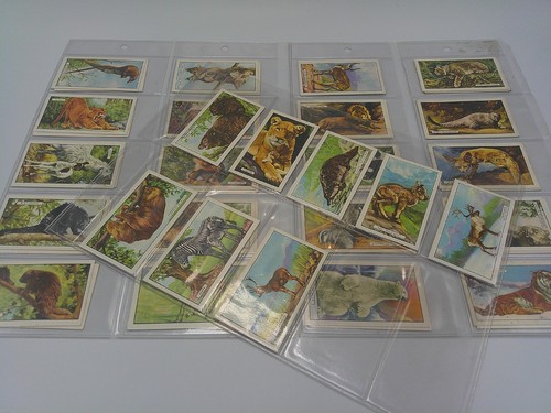 Wild animals cigarette cards - animals,