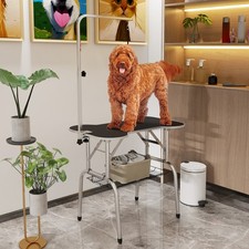 Pet Foldable Grooming Table w/