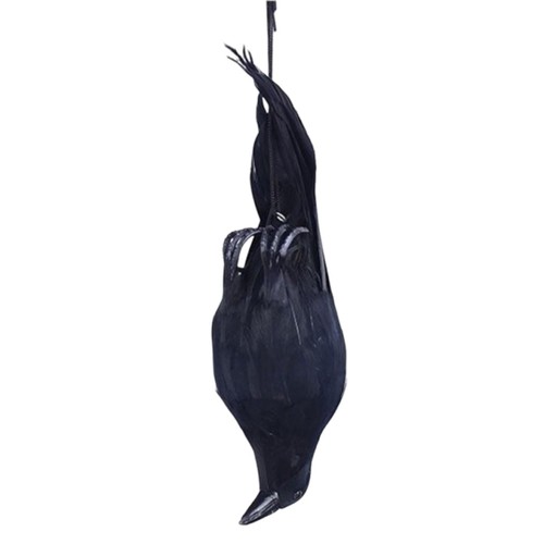 Realistic feathered fake - feathered, dead