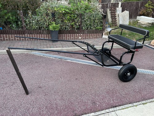Horse cart carriage - horse, standard