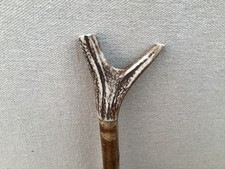 Red Deer Antler Walking Hazel