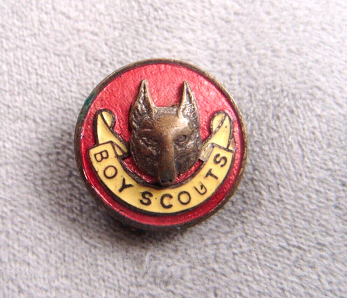 Boy scouts wolf cub assistant - wolf,