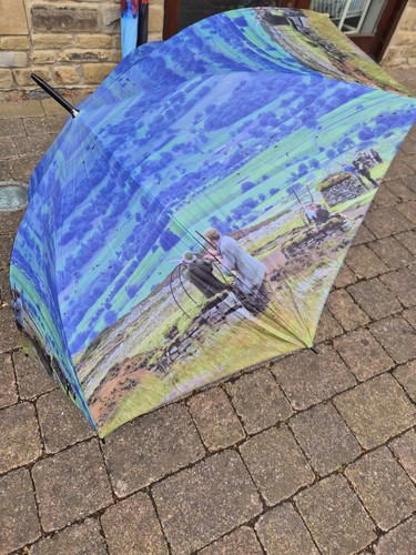 Grouse shooting umbrella - grouse,