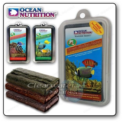 Ocean nutrition dried - ocean, seaweed