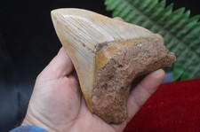 #A2 ,LOVELY BIG! 5.4"  GENUINE