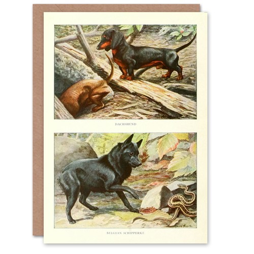 The book dogs art card - the,