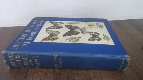 Butterflies and moths at - and,