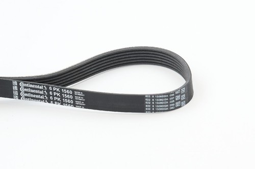 Continental ctam 6pk1560 - ctam,