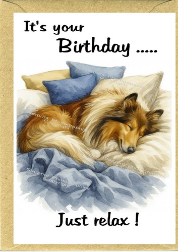 Rough collie dog - rough,