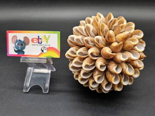 Vintage large sea shell ball - large,