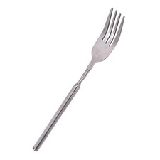 Extendable Fork Stainless