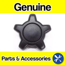 Genuine Volvo C30, C70 (06-)