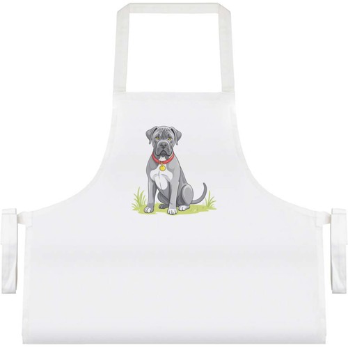 Cane corso dog - corso, dog'