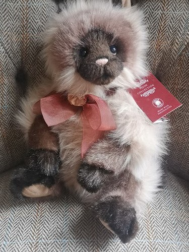 Charlie bears queenie - charlie, cat