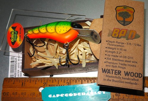 Amazon rain forest water - rain, wood