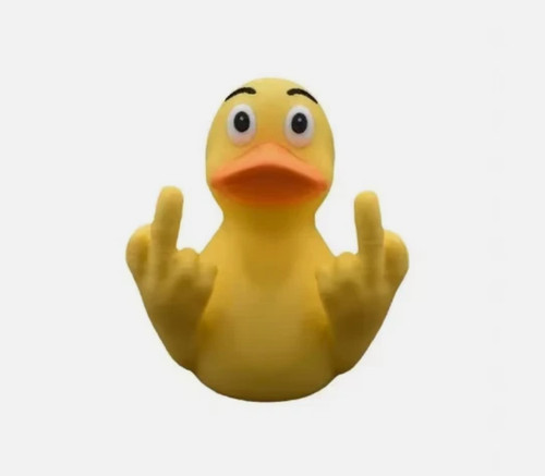 Funny middle finger - funny,