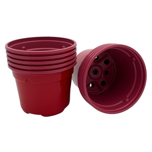 Bramley sage 9cm red - bramley,