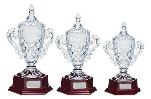 The champions cup hand - hand, cut
