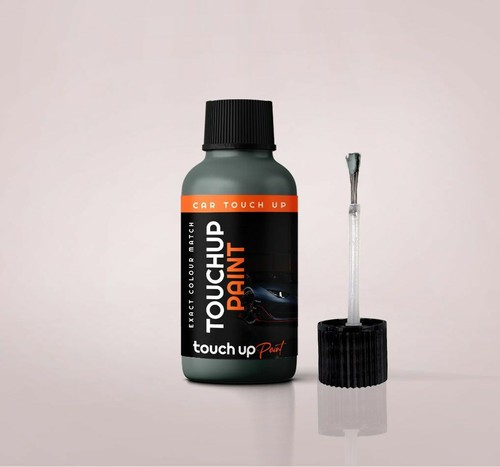 Touch paint for ford - touch,