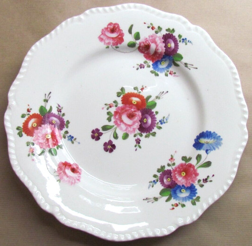 Early english spode cabbage - early,