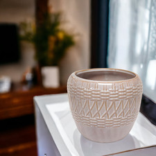 Ceramic , Cement Indoor Plant