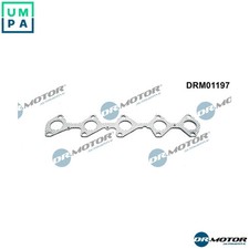 GASKET EXHAUST MANIFOLD
