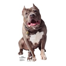 Number One Star Trek Picard Cardboard Cutout with Free Mini Dog Standee