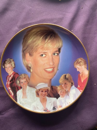 Diana elegant ambassador
