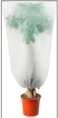 Garden fleece plant frost - fleece,