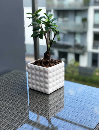 Flower pot home decor - home, modern