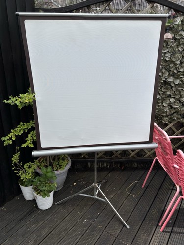 Portable projection screen - portable,