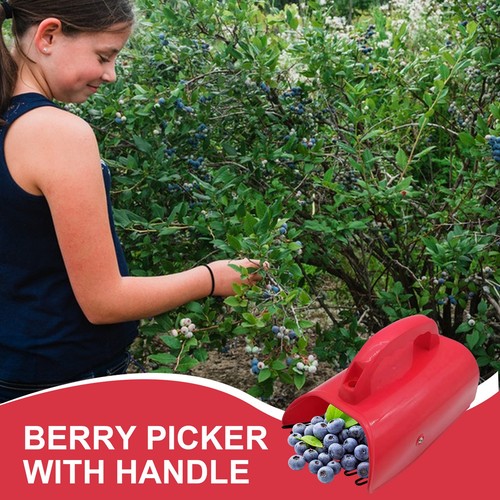 1pc berry picker ergonomic - 1pc,