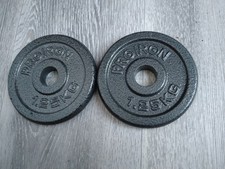 2x 1.25kg cast iron 1 inch
